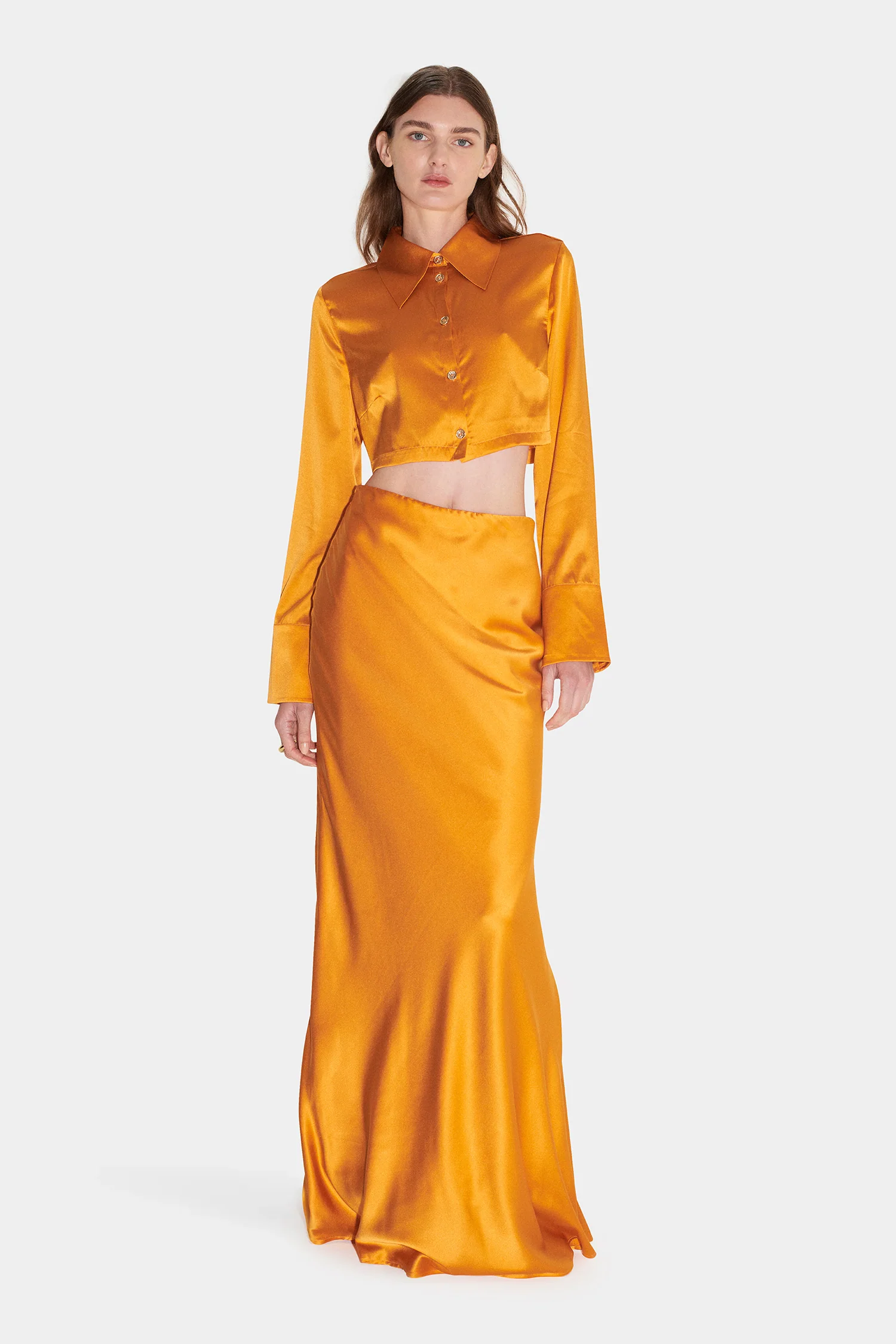 Sweeney Cropped Shirt Passiona - Image 4